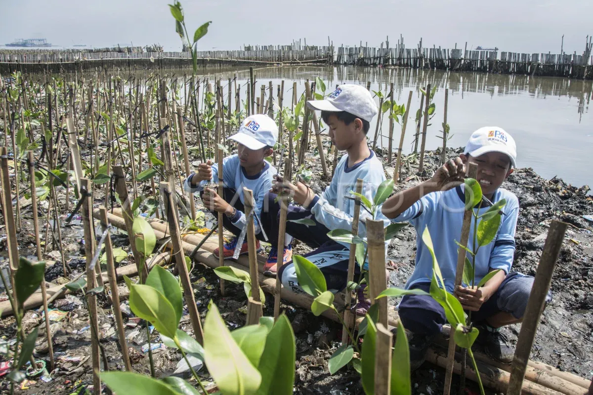 100 ribu pohon virtual dari pengguna Shopee diwujudkan menjadi penanaman 2.000 mangrove di Jakarta melalui kolaborasi Shopee, Pemprov DKI Jakarta, dan BenihBaik
