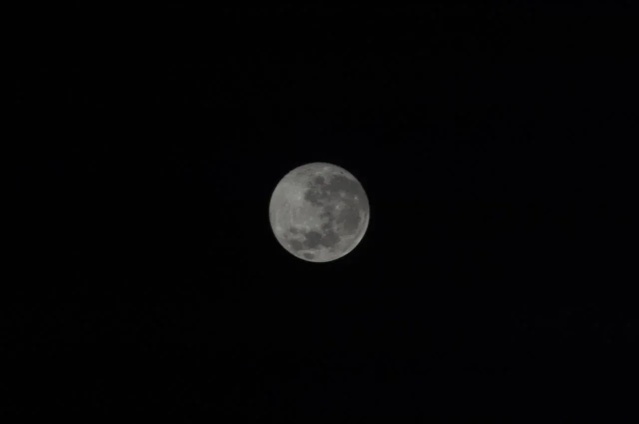 Buck Moon akan muncul pada 29 Juli 2026. Simak asal-usul Bulan Purnama Rusa, waktu terbaik mengamatinya, efek ilusi bulan, serta hujan meteor yang menyertai fenomena langit ini
