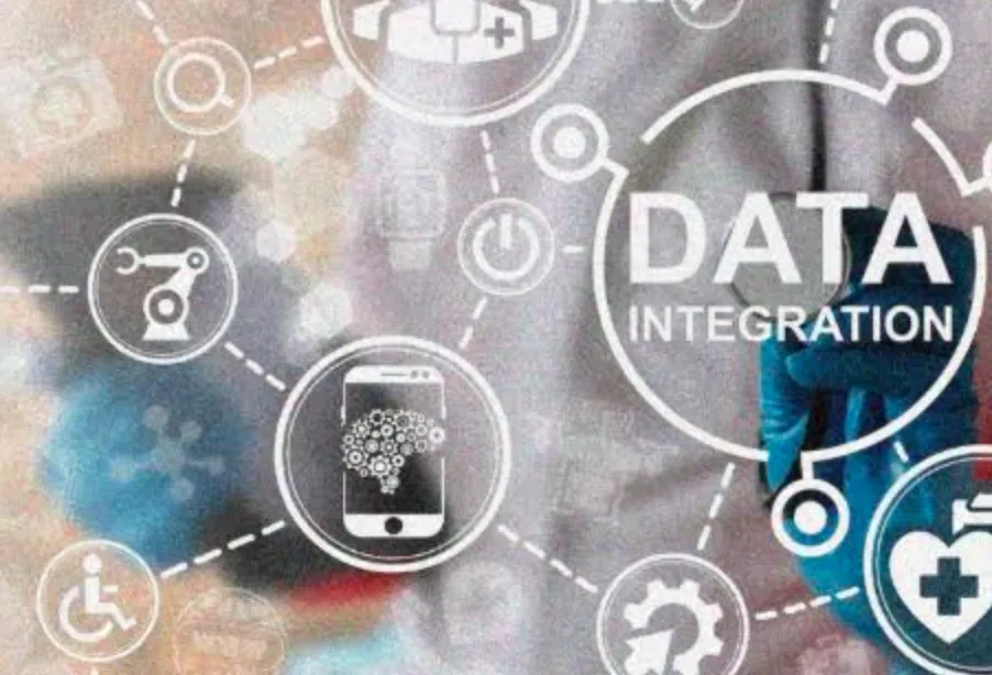 integrasi data nasional