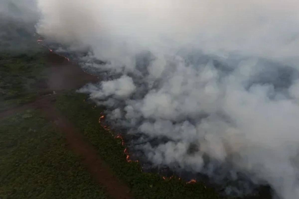 Karhutla Aceh Barat Hanguskan 13 Hektare Lahan, Titik Api Masih Aktif