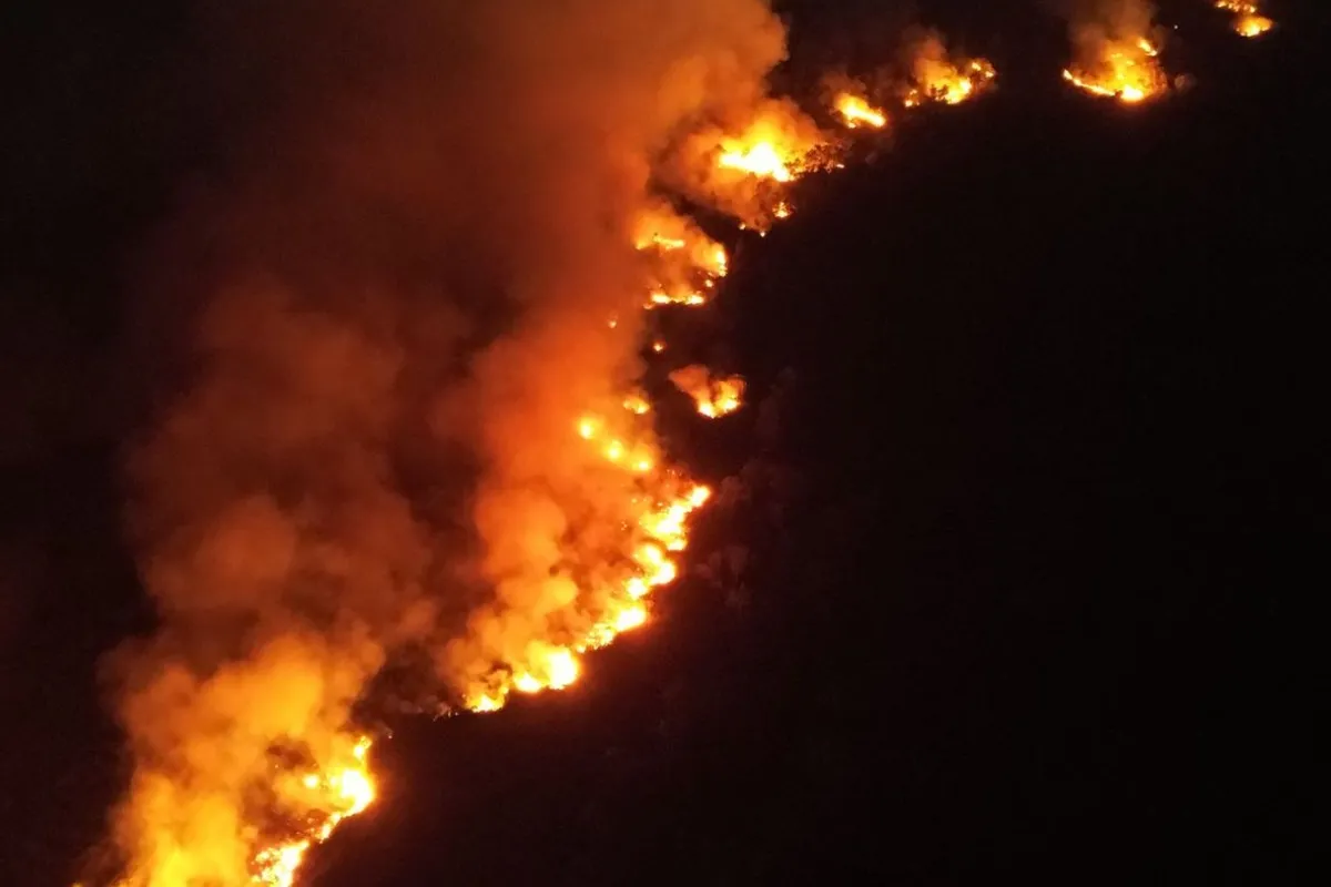  Karhutla Kalimantan kembali terjadi di Paser dan Kutai Kartanegara. BNPB mencatat puluhan hektare lahan terbakar dan penanganan menjadi prioritas.