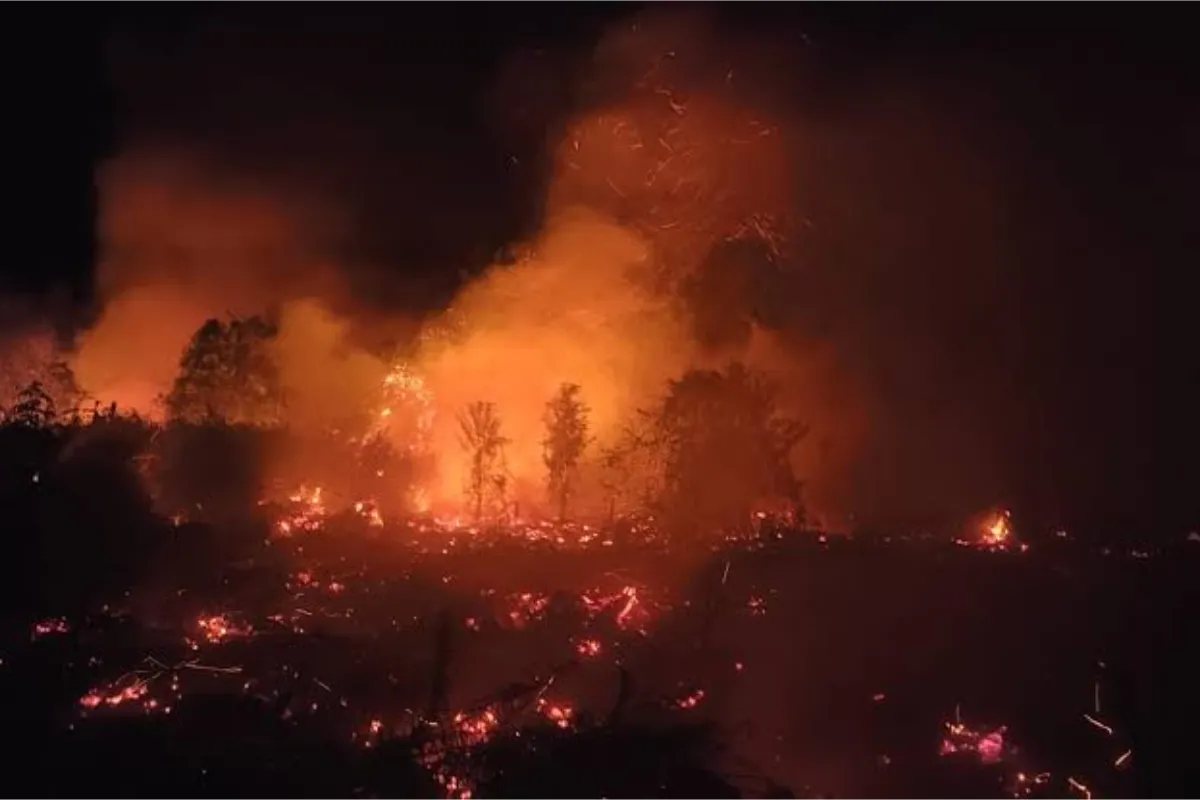 Karhutla tetap diwaspadai meski hotspot turun 56,2 persen. Musim kemarau, El Nino sangat kuat, dan IOD positif meningkatkan risiko kebakaran. 