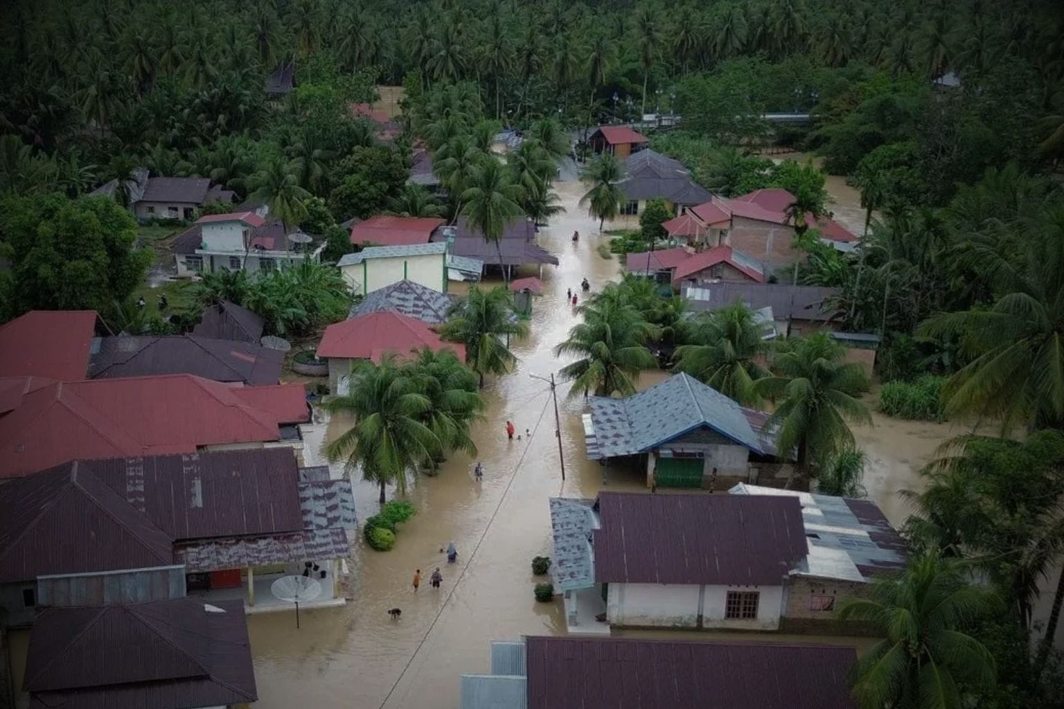 Negara Hadapi Krisis Sumatera: Ketegasan Pemerintah Jadi Kunci Tekan Dampak Bencana