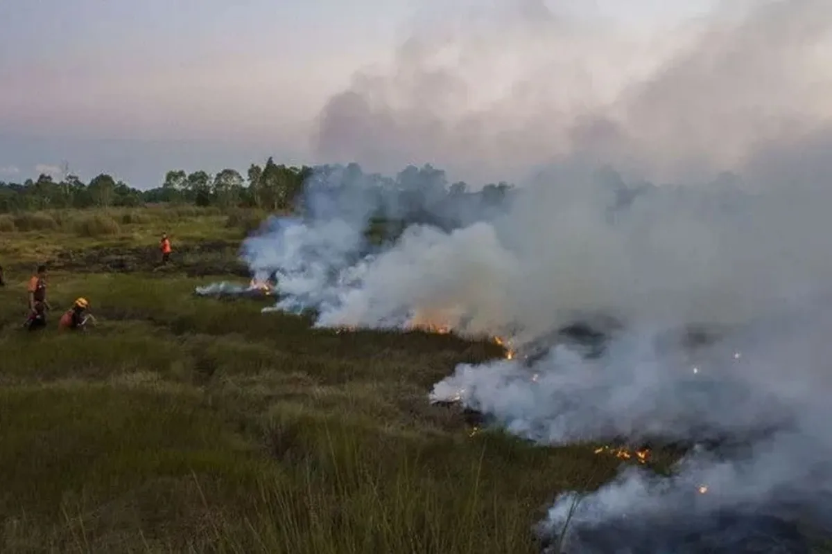 PFVI kebakaran gambut menjadi fitur AI untuk memetakan risiko Karhutla Kalimantan Barat. Sistem membantu patroli dan mitigasi lebih dini.