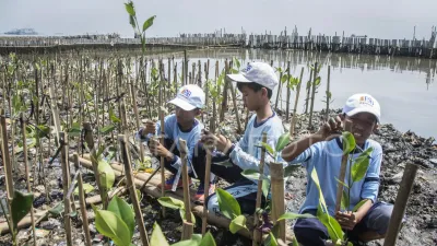 100 Ribu Pohon Virtual Shopee Berbuah Penanaman Mangrove Jakarta