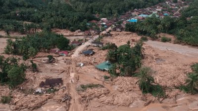 Banjir Seret Gelondongan Kayu di Sumatra, Negara Didesak Bertindak Tegas Hadapi Illegal Logging