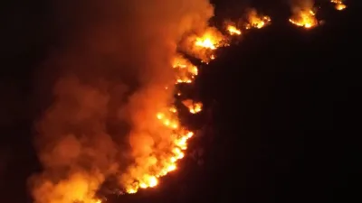 Karhutla Kalimantan Jadi Prioritas, Puluhan Hektare Terbakar