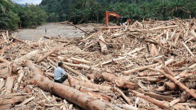 Kayu Gelondongan Sumut: Ujian Ketegasan Negara Menjaga Hutan dan Kedaulatan Ekologis