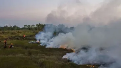 PFVI Jadi Alat Baru Petakan Risiko Kebakaran Gambut